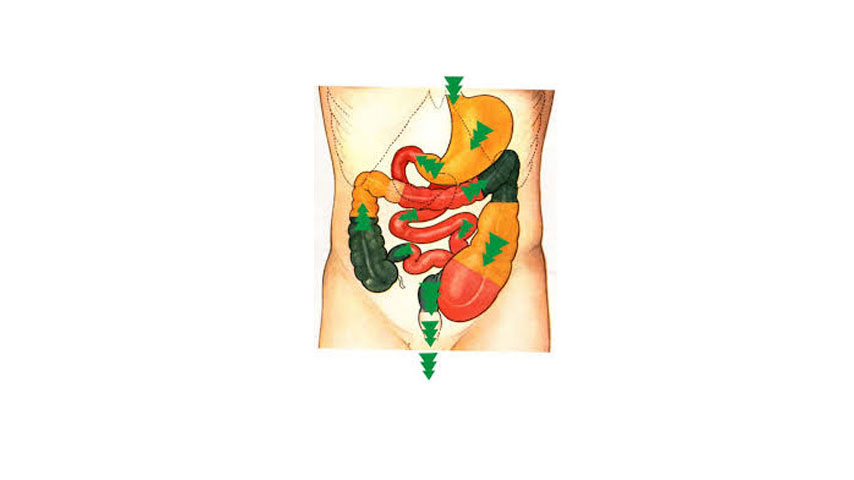 Virechana - Therapeutic Purgation